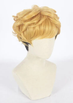 Cosplay Wig - Kyou Kara Ore Wa-Takashi Mitsuhashi 11 Cosplay Wig - Kyou Kara Ore Wa-Takashi Mitsuhashi -Cosplay CS 397A d