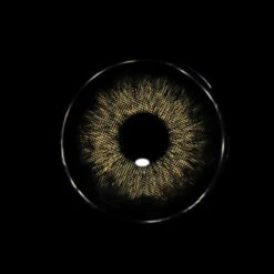 Sweety Magnificent Devil's Triangle Black -Cosplay FA15 H 3