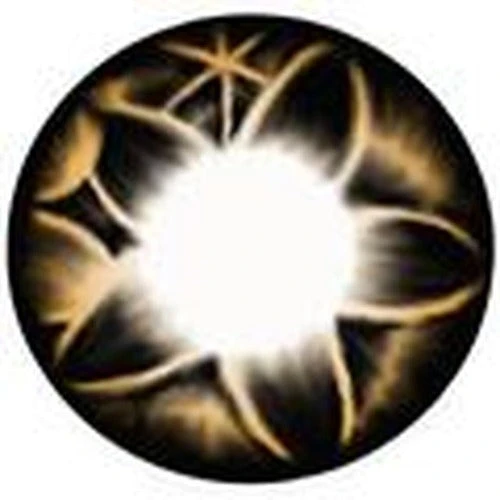 Kimchi Flora Brown 3 Kimchi Flora Brown