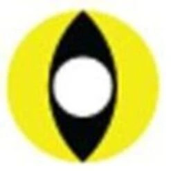 Sweety Crazy Yellow Cat 7 Sweety Crazy Yellow Cat -Cosplay GEO Crazy Lens SFY05