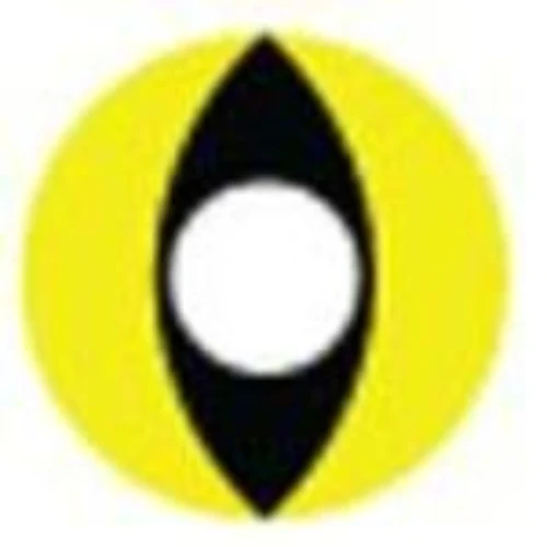 Sweety Crazy Yellow Cat 5 Sweety Crazy Yellow Cat - Image 3