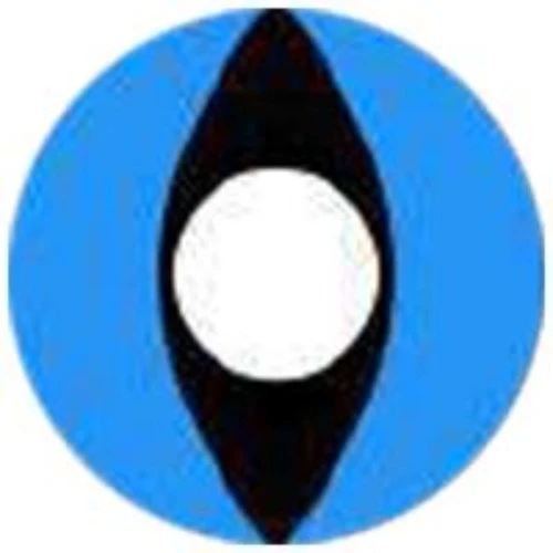 Sweety Crazy Aqua Cat 5 Sweety Crazy Aqua Cat - Image 3