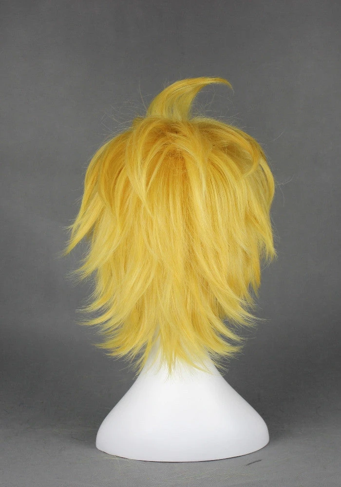 Cosplay Wig - Kingdom Hearts - Ventus 5 Cosplay Wig - Kingdom Hearts - Ventus - Image 3
