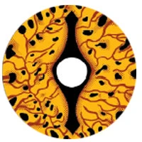 Sweety Crazy Game Of Thrones - Dragon Eyes