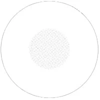 Sweety Crazy White Blind Mesh / Storm White