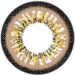 I.Fairy Persian Brown