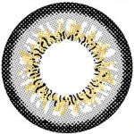 I.Fairy Persian Grey