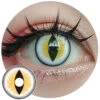 Sweety Crazy Sexy Cat Eye Yellow -Cosplay sexycateyeyellow 50e4f703 d793 43e6 be09 e0fe8101237d