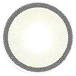 Western Eye Ringcon Grey